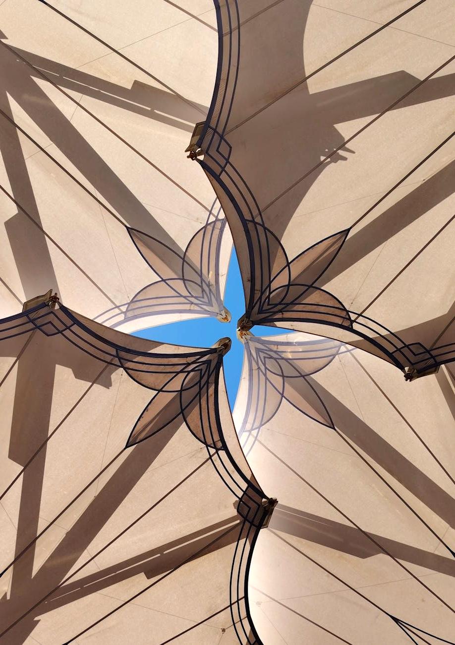 Sculptural Metamorphosis